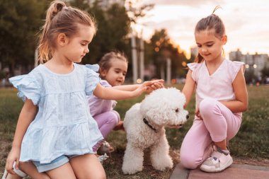 Üç genç kız parkta küçük beyaz bir bichon köpeğini okşayıp gün batımında birlikte neşeli bir anın tadını çıkarıyorlar.