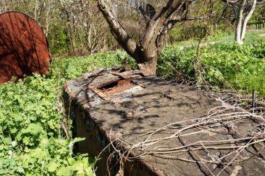 Ormana doğru atılmış eski metal kutu.