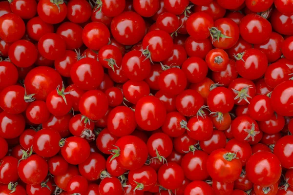 Sfondo pomodori rossi. vista dall'alto. — Foto Stock