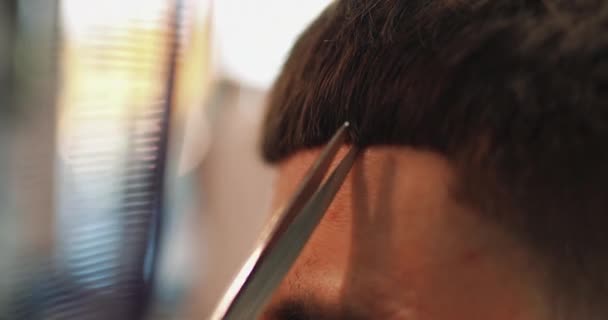 Férfi hajvágás ollóval. Közelkép. — Stock videók