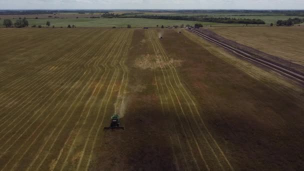 Récolte des moissonneuses dans les champs. — Video