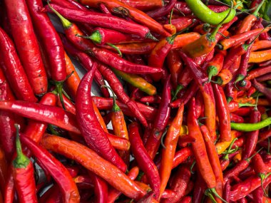 Yüksek açılı, taze, parlak kırmızı ve turuncu kırmızı biber karışımı ve küçük yeşil kırmızı biber. Aşçılık ve sıcak lezzet için baharatlı yemek malzemesi arka planı.