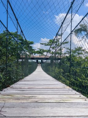 Düşük açı, uzun bir ahşap süspansiyon gölgelik köprüsünün merkezli görüntüsü uzak mesafeye doğru gidiyor, yoğun tropikal yapraklarla çevrili Kuala Berang, Terengganu 'da parlak mavi bir gökyüzüne karşı..