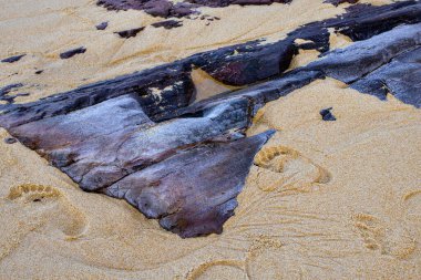 Doğal kaya oluşumları yakınlarda insan ayak izleri olan altın kumda gömülü, engebeli bir kıyı şeridi dokusu ve deniz manzarası sergiliyor..