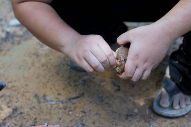 Yere çömelmiş küçük bir kaplumbağayı dikkatle tutan bir insanın yakın plan fotoğrafı..