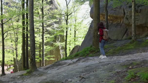 Mujer elegante caminando por sendero forestal con rocas — Vídeos de Stock