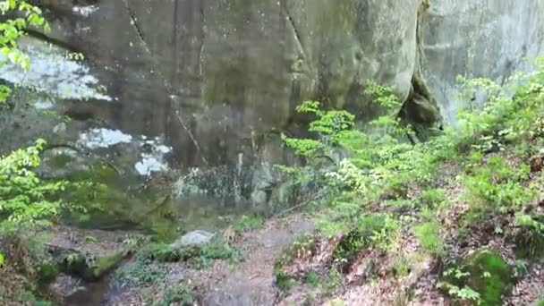 Панорамний вид на ліс з камінням — стокове відео