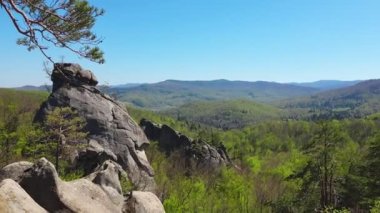 Panorama manzaralı yaz ormanı kayalıkları.