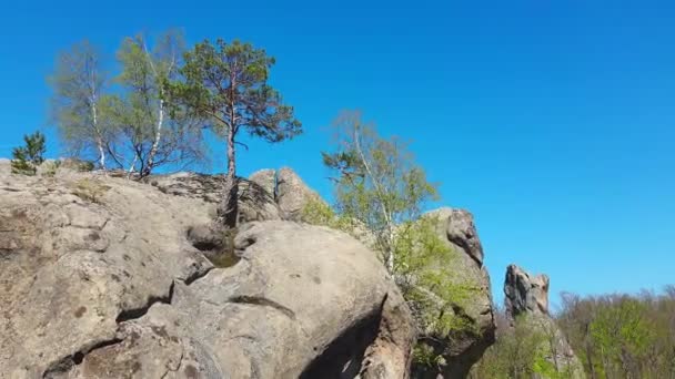 Vista panorámica del pico de la roca verano primavera bosque — Vídeos de Stock