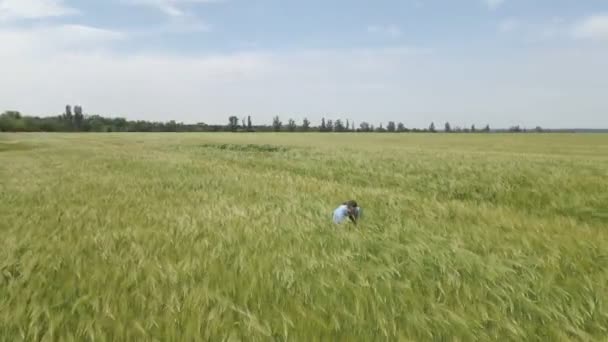 Donna che corre dal campo di grano monitoraggio — Video Stock