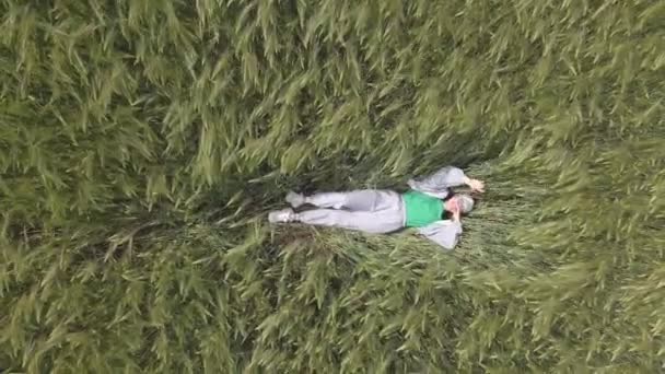 Vista superior aérea da mulher que estabelece no trigo — Vídeo de Stock