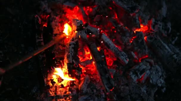 Φωτιά κάμπινγκ κοντά στον άνθρακα τέφρα — Αρχείο Βίντεο