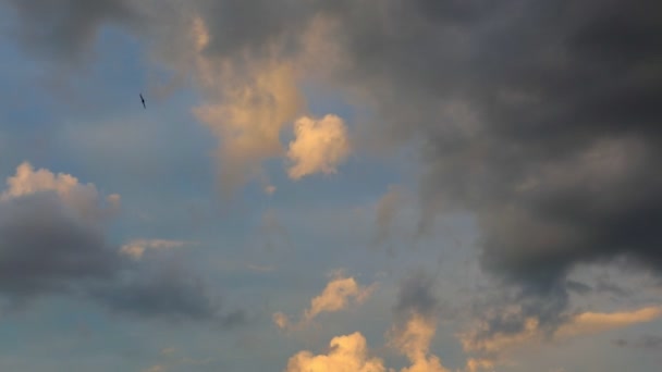 Gökte dönen kuşları yut yağmurlu günbatımı bulutları — Stok video