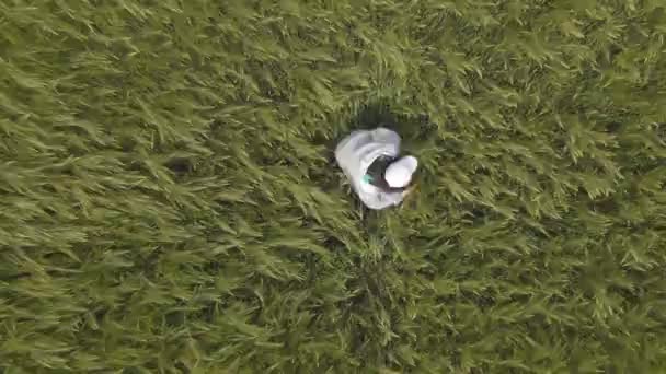 Overhead top view of woman laying down in wheat — Stock Video