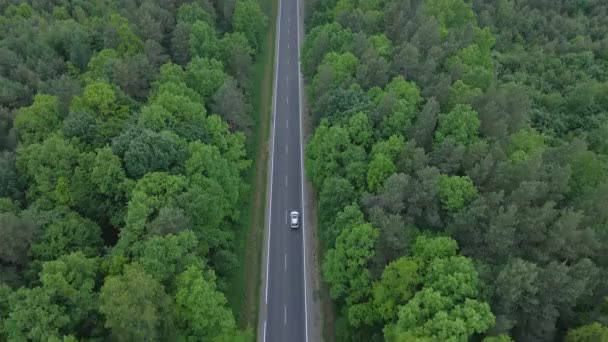 Отслеживание воздушного вида за автомобилем, движущимся по зеленому лесу с обеих сторон — стоковое видео