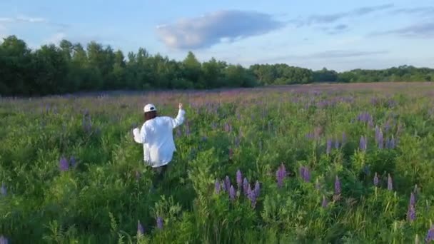 Femeie mergând pe câmp cu flori de lupin înflorite — Videoclip de stoc
