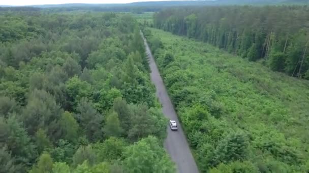 Légi felvétel nyomon követése után autó mozgó gyorsforgalmi út zöld erdő mindkét oldalán — Stock videók