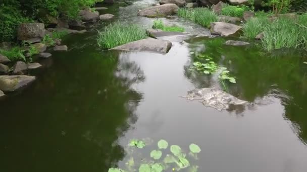 Vista superior de las rocas del arroyo del río y la hierba — Vídeos de Stock