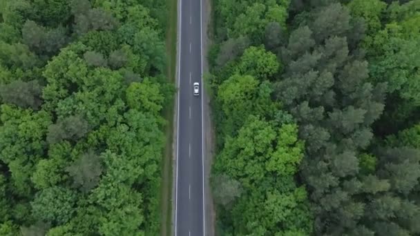 Widok z lotu ptaka śledzenie samochodu poruszającego się autostradą zielony las po obu stronach — Wideo stockowe