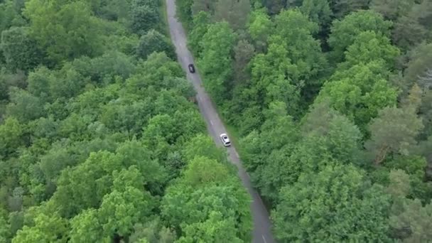 Luftbild-Tracking nach Auto bewegt sich durch Speedway grünen Wald von beiden Seiten — Stockvideo