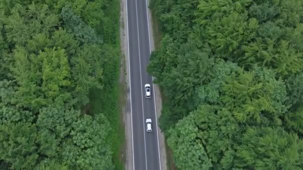 Widok z lotu ptaka śledzenie samochodu poruszającego się autostradą zielony las po obu stronach — Wideo stockowe