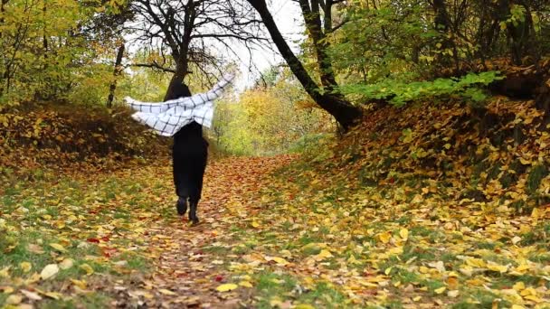 Glimlachende gelukkige vrouw lopen spinnen door voetpad in de herfst bos — Stockvideo