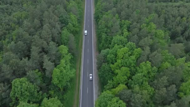 Widok z lotu ptaka śledzenie samochodu poruszającego się autostradą zielony las po obu stronach — Wideo stockowe