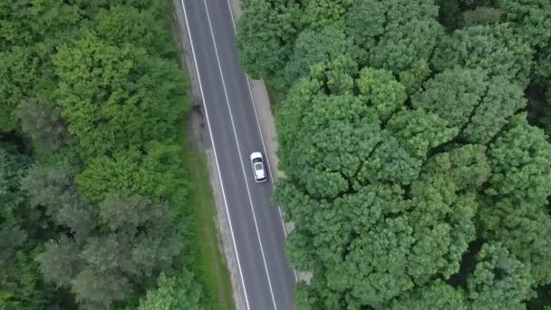 Seguimiento de la vista aérea después de que el coche se mueve por el bosque verde de la senda rápida por ambos lados — Vídeo de stock