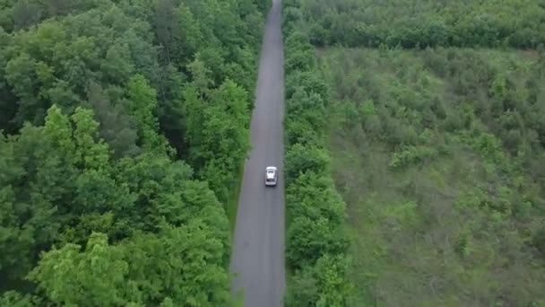 Отслеживание воздушного вида за автомобилем, движущимся по зеленому лесу с обеих сторон — стоковое видео