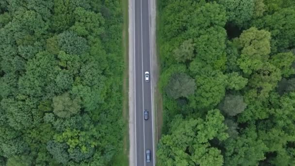 Légi felvétel nyomon követése után autó mozgó gyorsforgalmi út zöld erdő mindkét oldalán — Stock videók