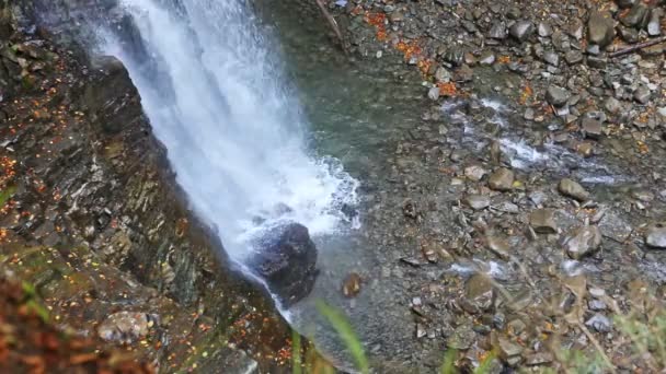 View of waterfall in autumn forest — Stock Video