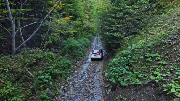 Manyava, Ukraina - 6 października 2020 r.: suv car riding in forest path trail — Wideo stockowe