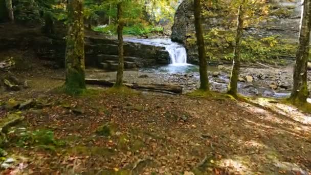 View of waterfall with little lake in autumn forest — Stock Video