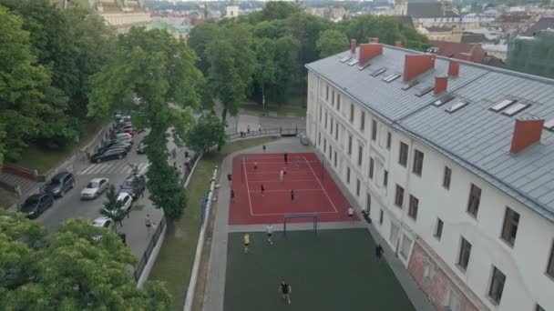 Overhead view people playing volleyball – stockvideo