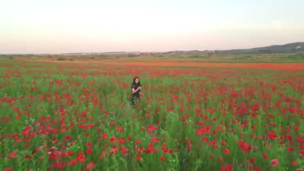 Mujer en vestido negro en amapolas flores campo de tiro en su teléfono belleza de la naturaleza — Vídeo de stock