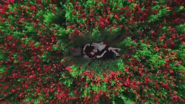 Paar legt in blühendem Mohnfeld Blumen nieder — Stockvideo