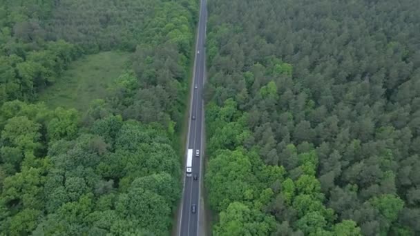 Seguimiento de la vista aérea después de que el coche se mueve por el bosque verde de la senda rápida por ambos lados — Vídeos de Stock