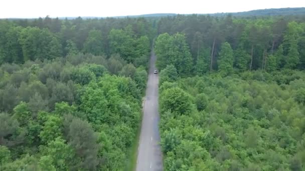 Seguimiento de la vista aérea después de que el coche se mueve por el bosque verde de la senda rápida por ambos lados — Vídeo de stock