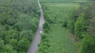 Pist boyunca hareket eden her iki taraftan da yeşil ormanı izleyen hava görüntüsü.