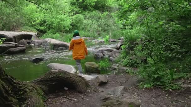 Mujer excursionista disfrutando de la naturaleza de pie en la roca a orillas del río — Vídeos de Stock