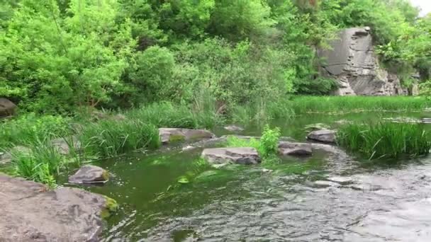 Vrouw wandelaar genieten van de natuur staan aan de rots aan de rivier kant — Stockvideo