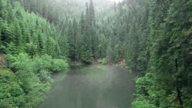 Yağmurlu havalarda Karpatya Gölü Rosohan 'ın havadan görünüşü