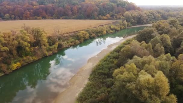 Letecký pohled na řeku pohybující se vpřed — Stock video