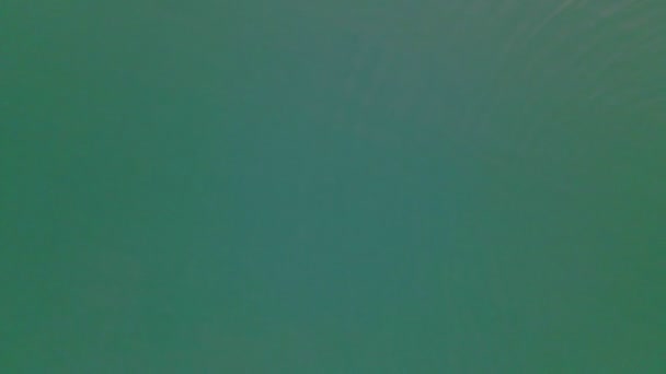 Vista superior superior da mulher nadando com círculo de natação melancia em água azul — Vídeo de Stock