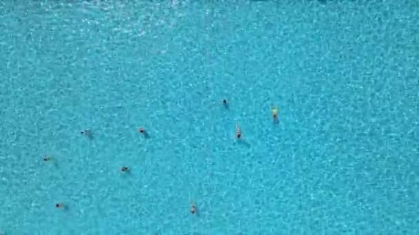 Vista aérea de la piscina pública de la ciudad en la gente soleada del día caliente que nada — Vídeo de stock