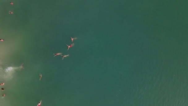 Felső nézet az emberek úszás kék vízben — Stock videók