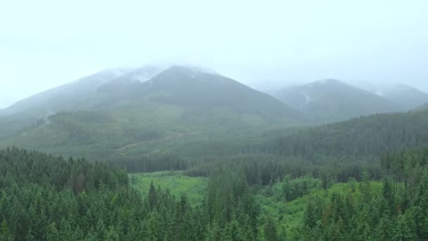 Rainy weather in carpathian mountains dolly shoot — Stock Video