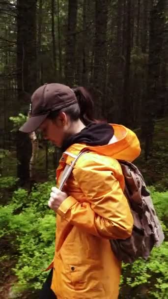 Mujer excursionista mochilero caminando por sendero forestal — Vídeo de stock