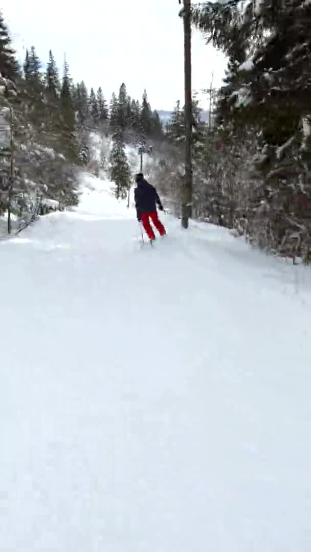 Skifahrer rutscht am Hang im Wald ab — Stockvideo