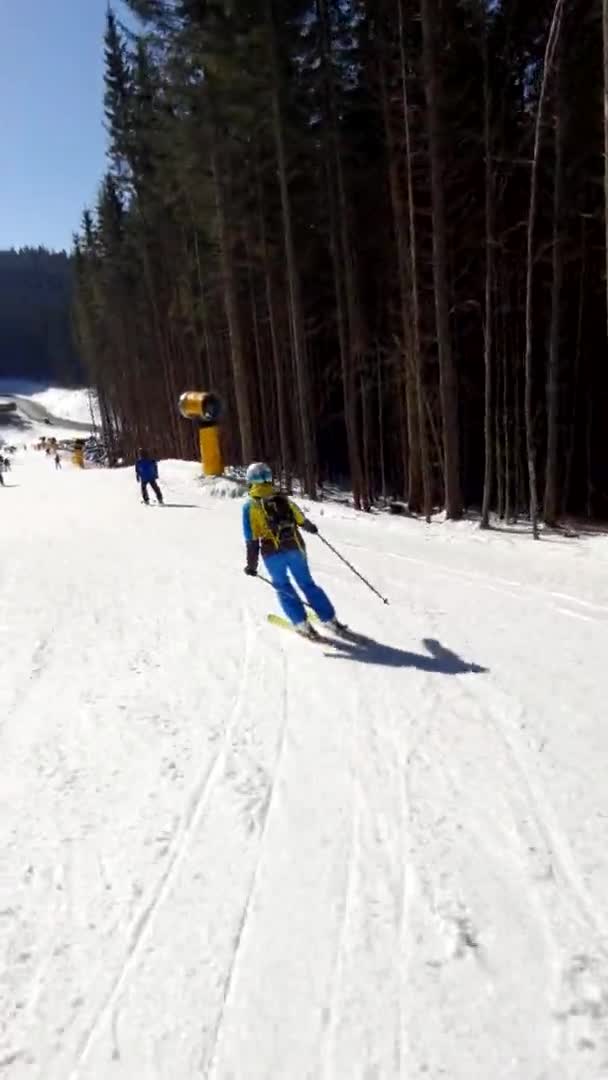 Vrouw skiër op zonnige berghelling — Stockvideo